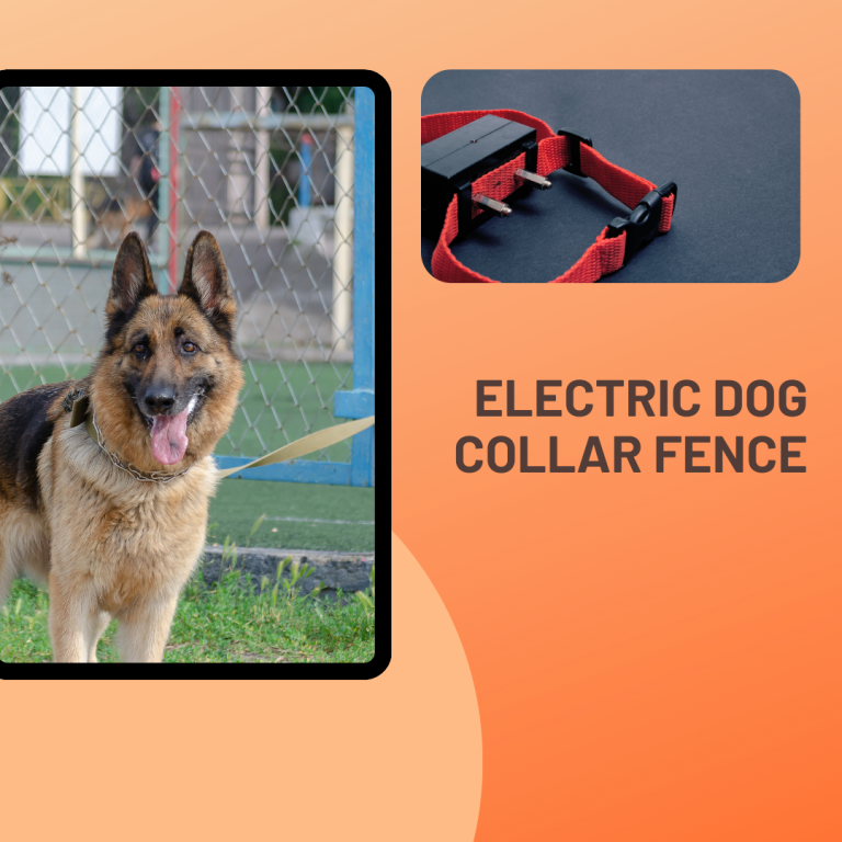 Electric Dog Collar Fence: Train and Contain Your Dog with Ease!