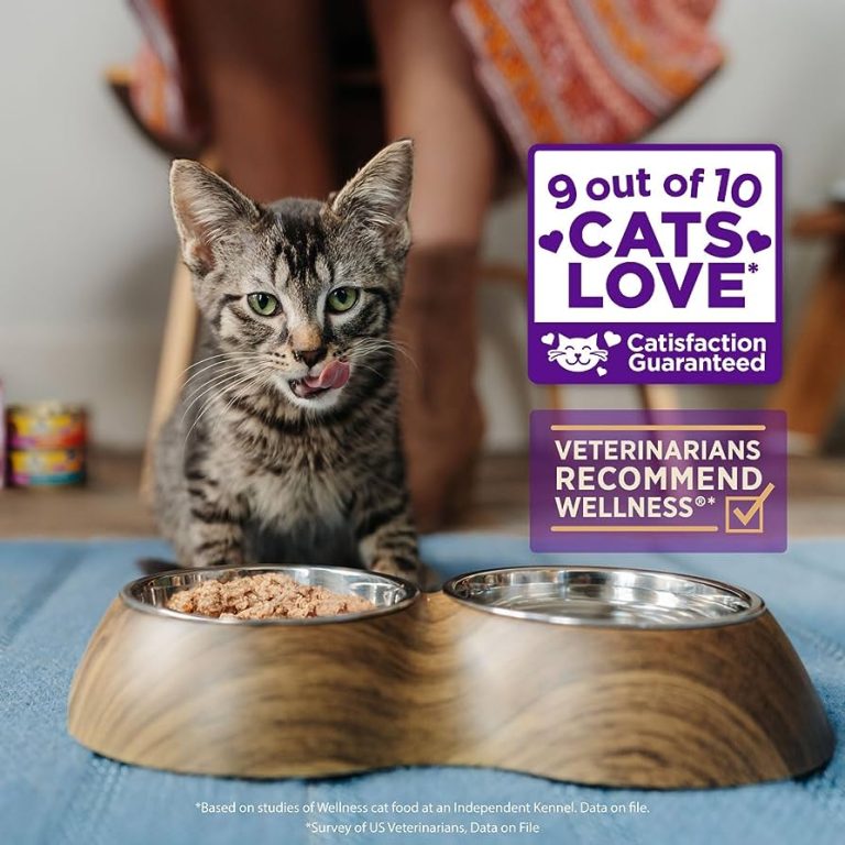 Aldi Cat Food  : The Purr-fect Choice for Your Feline Friend