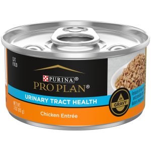 Best Cat Foods for Urinary Tract Health
