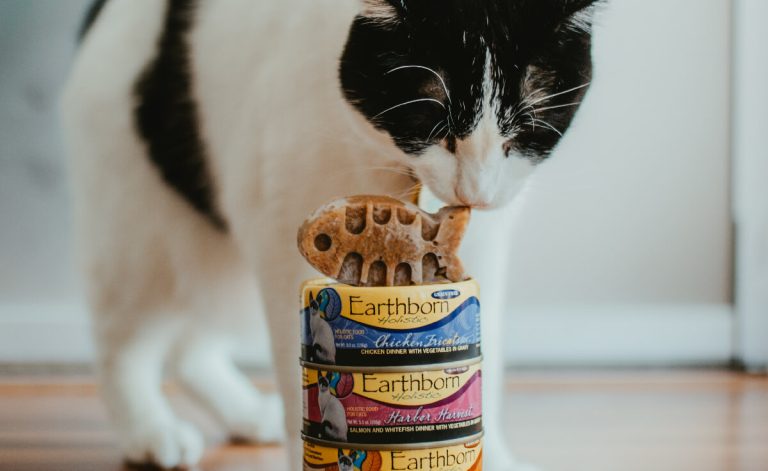 Earthborn Cat Food: The Ultimate Guide to Healthy and Natural Nutrition