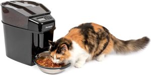 Raised Cat Food Bowls